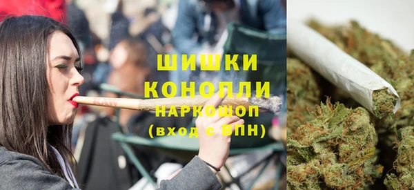 сатива Абаза