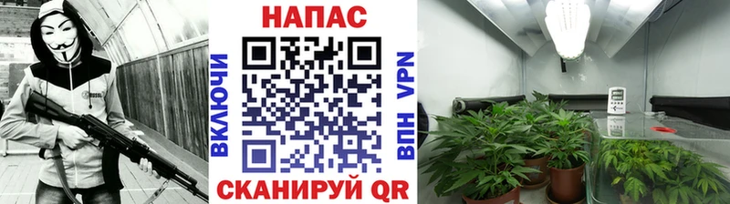 Каннабис сатива Рославль
